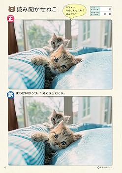 猫さんページ MYZOO マイズー AVENUE 100cm | 商品種別,ペットアイテム,猫用